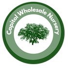 Capitol Wholesale Nursery